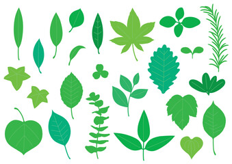 シンプルな緑色の葉っぱセット