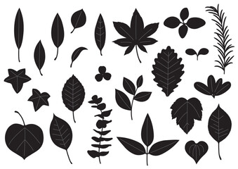 シンプルな葉っぱセット