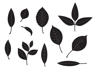 シンプルな葉っぱセット