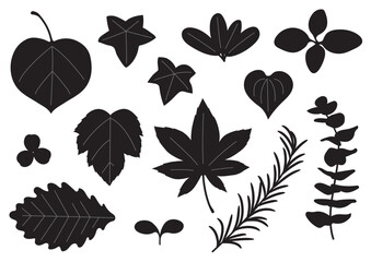 シンプルな葉っぱセット