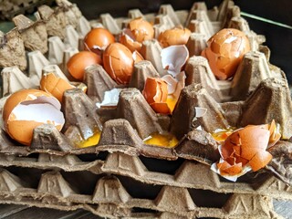 Broken eggs with shells were