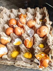 Broken eggs with shells were