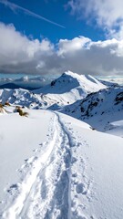 Winter landscape with snowy path leading toward a mountain under a cloudy, bright blue sky