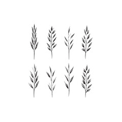 Obraz premium Little Bluestem icon line art natural element