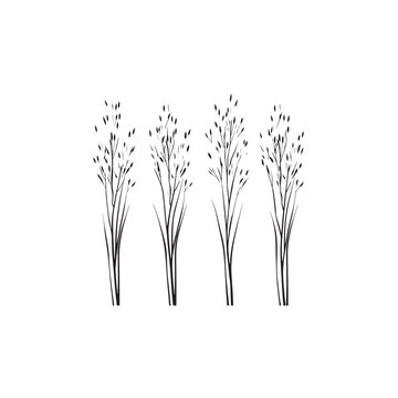 Little Bluestem icon line art natural element