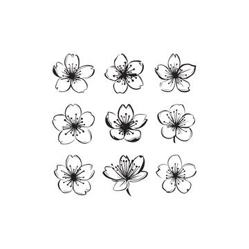 Manuka icon line art botanical element