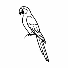 Fototapeta premium Parrot Vector Illustration Minimal Flat Style Cl (1) vector illustration design 81