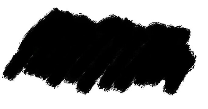 vector black silhouette of a black and white background