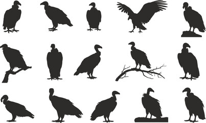 Black vulture bird silhouettes perched flying standing wildlife illustration collection, scavenger raptor icons for nature design and educational use