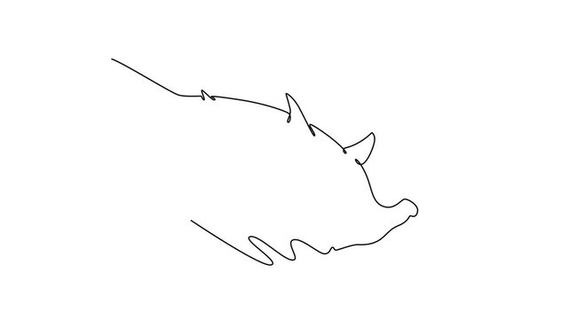 Sea animal concept. Single line draw design. Full length animation illustration. High quality 4k footage