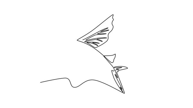 Flying fish. Sea animal concept. Single line draw design. Full length animation illustration. High quality 4k footage