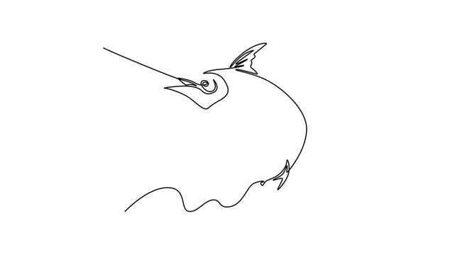 Fish sword. Marlin. Sea animal concept. Single line draw design. Full length animation illustration. High quality 4k footage