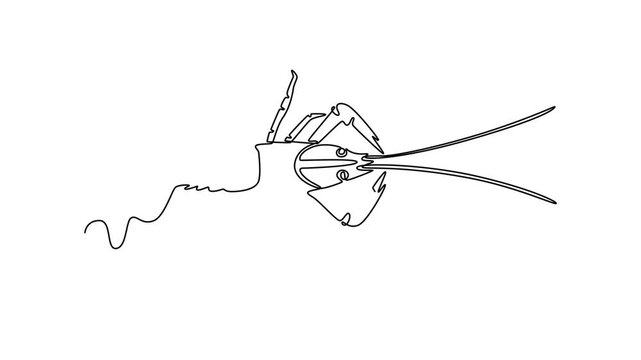 Lobster. Sea animal concept. Single line draw design. Full length animation illustration. High quality 4k footage