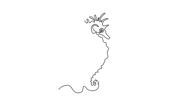 Seahorse. Sea animal concept. Single line draw design. Full length animation illustration. High quality 4k footage