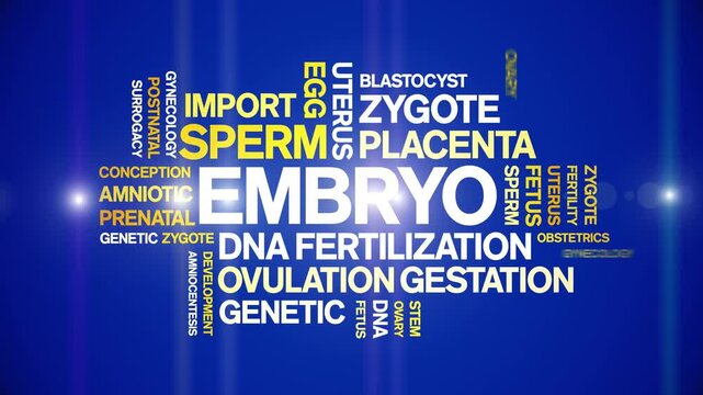 Embryo animated word cloud-text design animation tag kinetic typography seamless loop.
