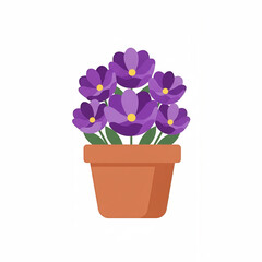 violet flowers in a pot