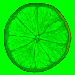 Green Lime cross section of fruit