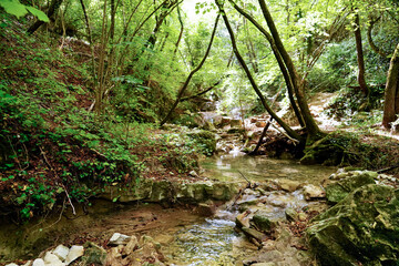 Fototapeta premium Cascata del Bucamante. Appennino Emiliano, provincia di Modena, Emilia Romagna, Italia