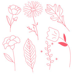Pink floral and leaf line art collection of hand-drawn botanical illustrations on white background.
