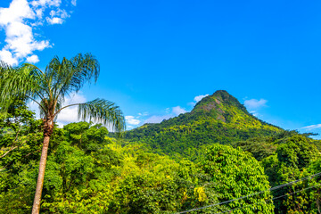 Fototapeta premium Tropical mountain hill Pico do Papagaio rainforest trees blue sky