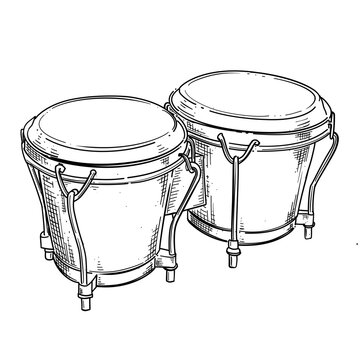 Bongo drum vector line art hand drawn illustration