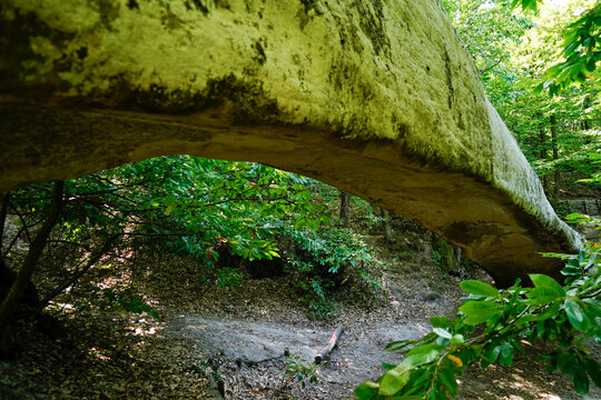 L'insolita formazione rocciosa chiamata Ponte del Diavolo o Ponte d'Ercole, a Brandola nel parco del Frignano, appennino modenese.,Emilia Romagna, Italia