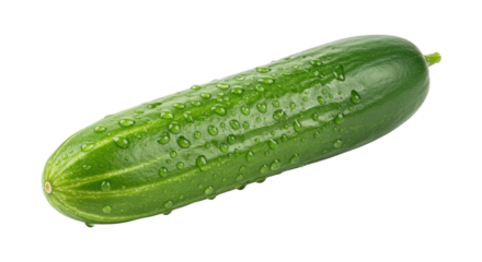 Cucumber isolated on transparent background showcasing its vibrant green color and texture