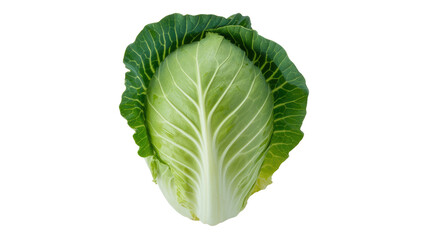 Obraz premium A crisp head of romaine lettuce isolated on transparent background