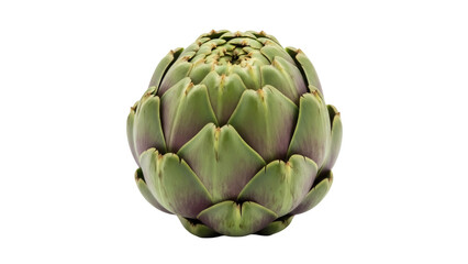 Fresh green artichoke isolated PNG, healthy vegetable for vegan and vegetarian diet, nutritious food ingredient