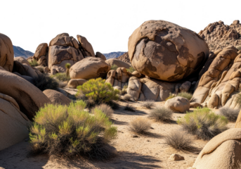 Desert landscape with large rock formations and sparse vegetation isolated on transparent background