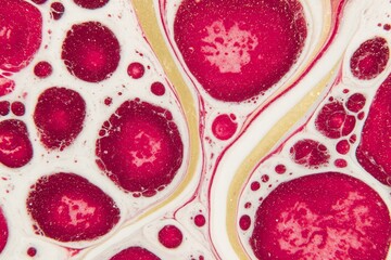 Ruby Red Inkscape Abstract Red with White, and and Gold Ink Art.