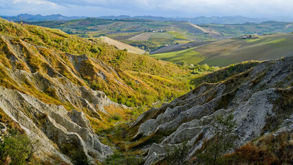 Naklejka premium Foliage d'autunno nei vigneti del vino Sangiovese delle colline bolognesi. Imola, Bologna, Emilia Romagna. Italia 