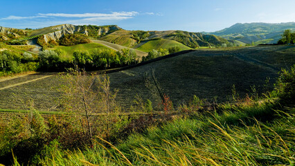 Obraz premium Foliage d'autunno nei vigneti del vino Sangiovese delle colline bolognesi. Imola, Bologna, Emilia Romagna. Italia 