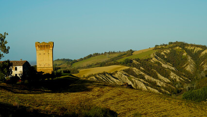 Foliage d'autunno nei vigneti del vino Sangiovese delle colline bolognesi. Imola, Bologna, Emilia Romagna. Italia	
