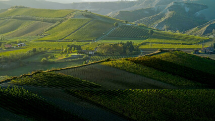 Obraz premium Foliage d'autunno nei vigneti del vino Sangiovese delle colline bolognesi. Imola, Bologna, Emilia Romagna. Italia 