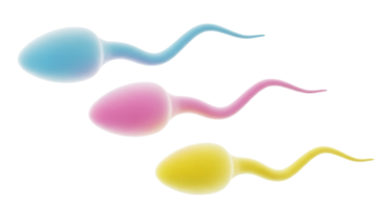 Colorful sperm cells PNG isolated on transparent background, blue pink and yellow gametes for fertility and reproductive health concepts