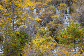Shuzheng Waterfall is a beautiful and prominent waterfall in Jiuzhaigou National Park, Sichuan Province, China. It is approximately 25 meters high and 62 meters wide