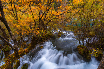 Shuzheng Waterfall is a beautiful and prominent waterfall in Jiuzhaigou National Park, Sichuan Province, China. It is approximately 25 meters high and 62 meters wide