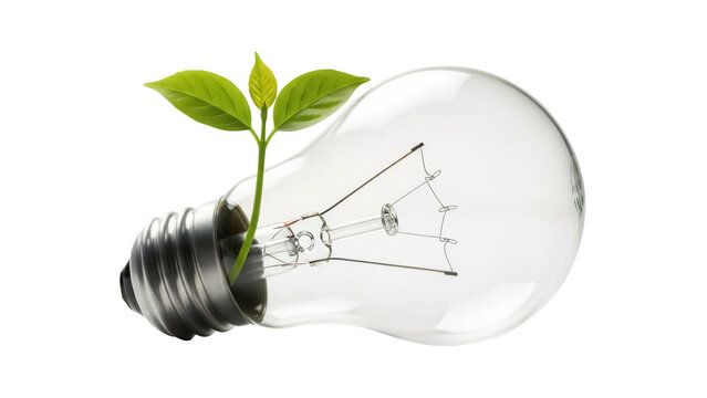 Light bulb with green plant isolated PNG, symbol of renewable energy and environmental conservation, on transparent background