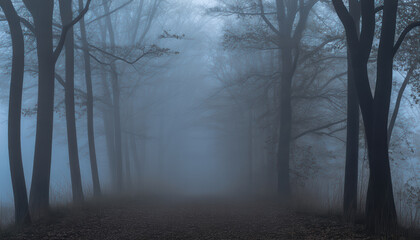 Obraz premium Foggy forest path with silhouetted trees and eerie atmosphere