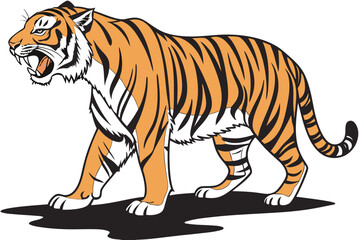 Obraz premium Roaring Tiger Walking with Open Mouth on White Background big cat animal