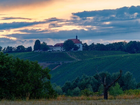 Blick von der Mainaue bei Astheim am Main zu den Weinbergen an der Vogelsburg, Vokacher Mainschleife, Stadt Vokach, Landkreis Kitzingen, Unterfranken, Franken, Bayern, Deutschland