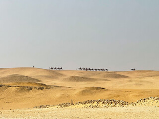 Camel caravan crossing desert landscape near Giza Plateau during tourist excursion