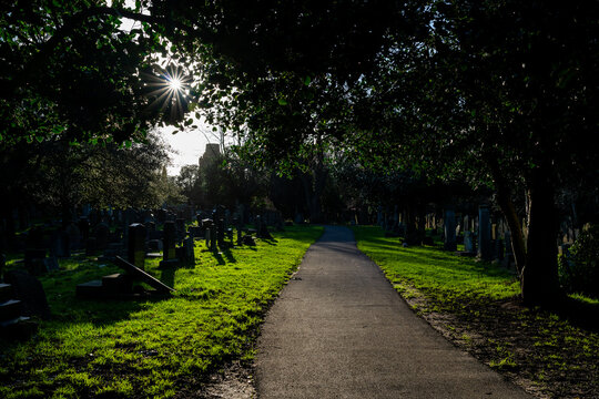 Tree-lined pathway through Flaybrick Cemetery in Birkenhead with historic gravestones and sunlight filtering through the canopy
