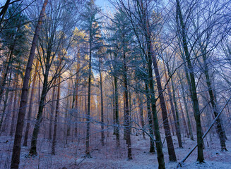Zimowy g&oacute;rski pejzaż w pięknym porannym świetle