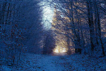 Zimowy g&oacute;rski pejzaż w pięknym porannym świetle