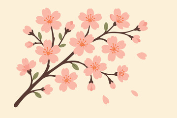 Fototapeta premium Cherry Blossom Branch Illustration on Light Background