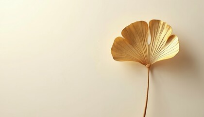 Golden ginkgo leaf on beige background. Minimalist botanical design element with fine veins, suggestive of luxury and nature. Used for decor, art, fashion, beauty, and wellness themes.