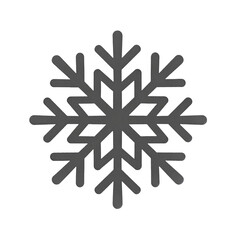 Fototapeta premium Intricate Symmetrical Snowflake Design