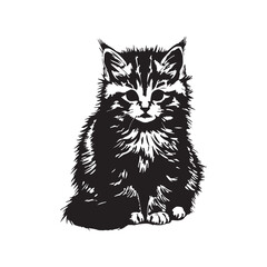 Fototapeta premium vector illustration of a cat